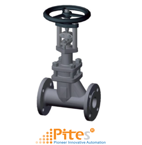 350-globe-valve-phonix.png